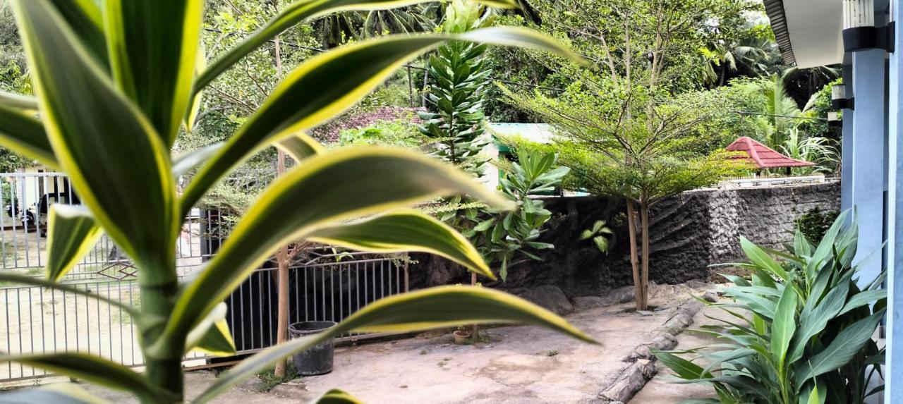Sakila Homestay Kuta  Exteriér fotografie