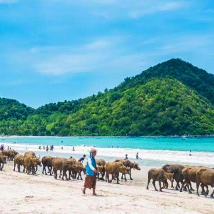 Sakila Homestay Kuta  Exteriér fotografie