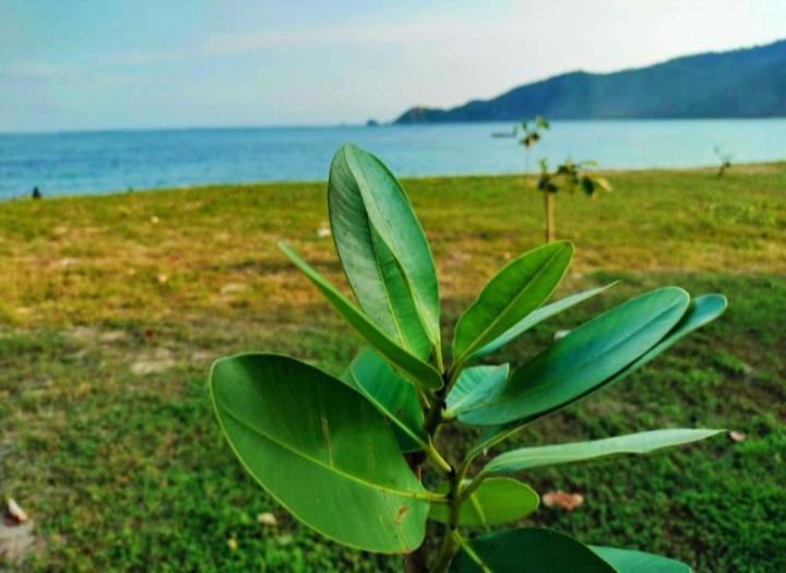 Sakila Homestay Kuta  Exteriér fotografie